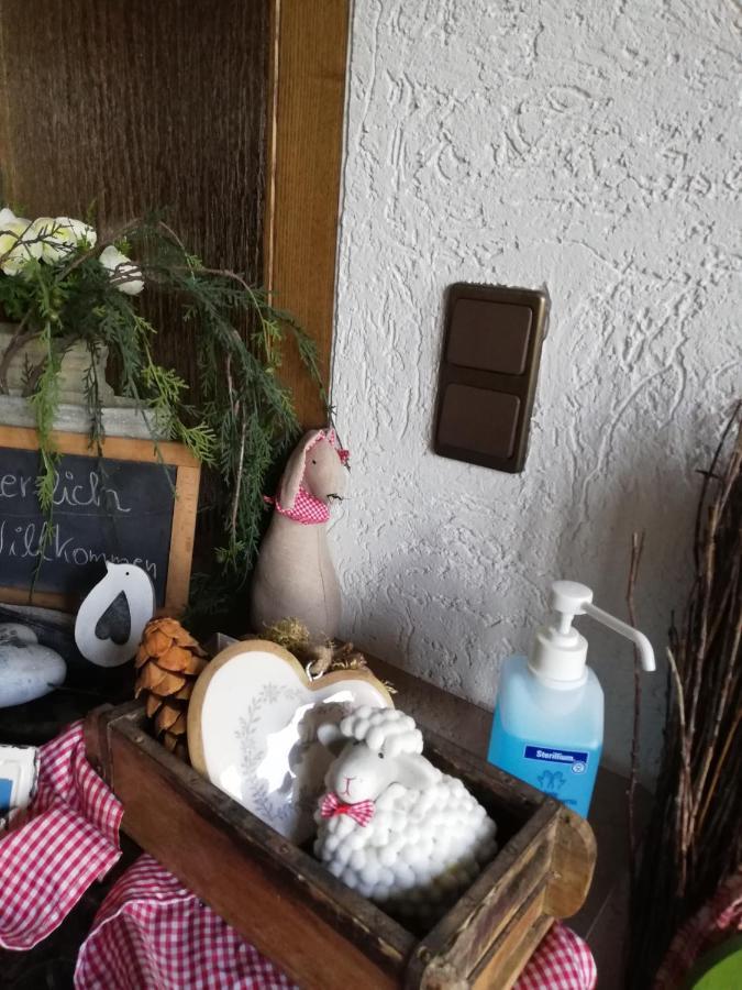 Ferienwohnung Meisenthal Naehe Nuerburgring Kelberg Exteriér fotografie